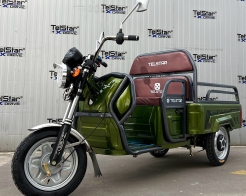 CARGO Транспортер T-500 60V 35Ah, товароносимост 500 кг снимка 109