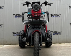 ATV Offroad ДЕЗЪРТ триместна електрическа триколка TS 350-7-NEW 2500W 25Ah снимка 213