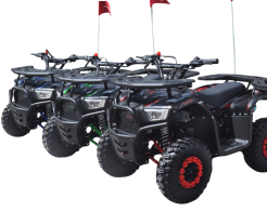 Детско бензиново ATV 49сс TELSTAR SIRIUS с електрически стартер снимка 274